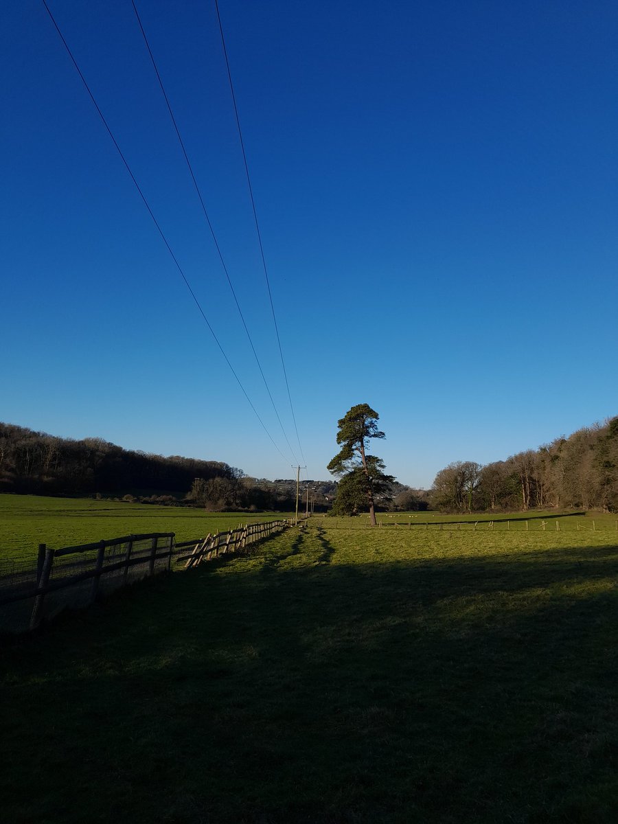 Ulrike Vogel tweet media