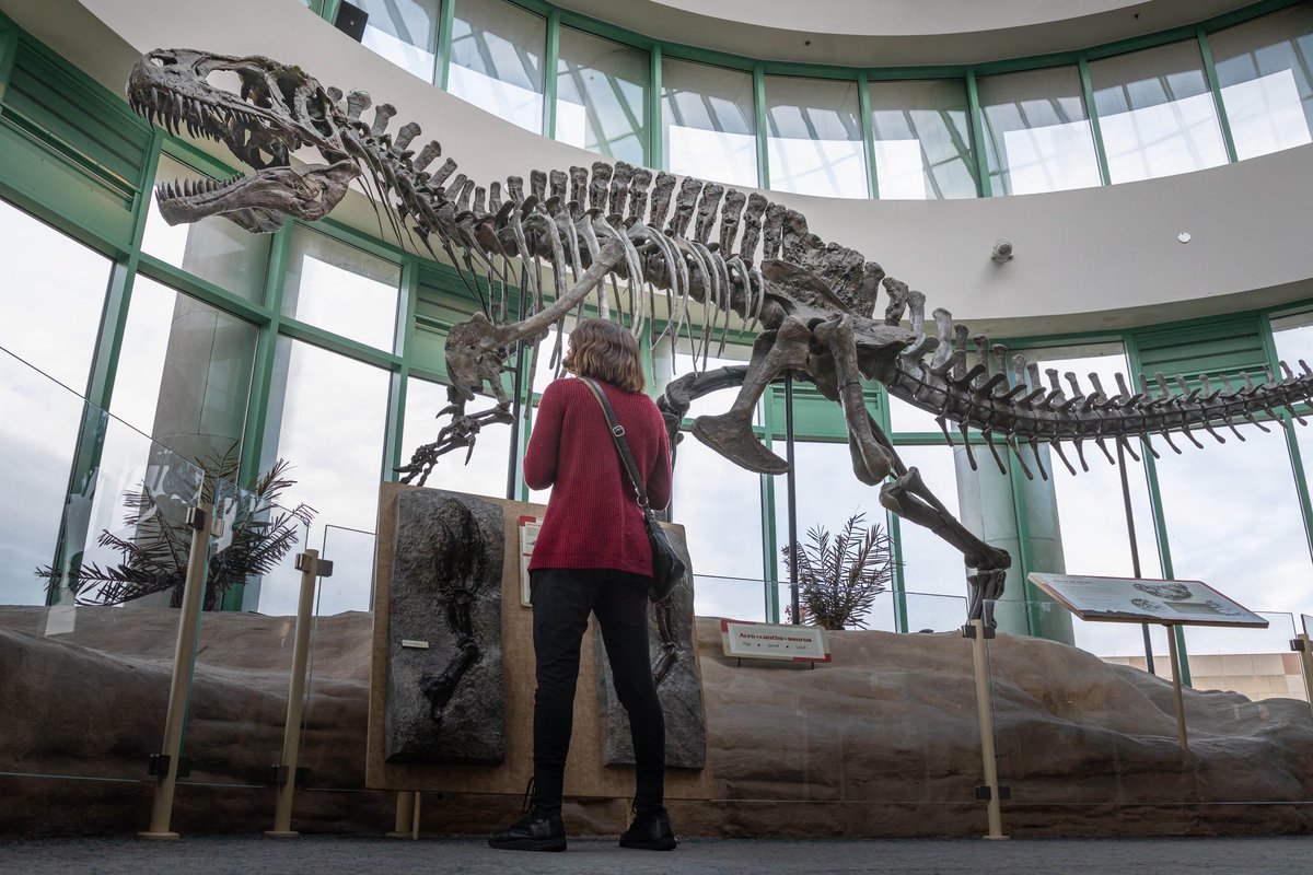 Anything that <a href="/Jasbuggy/">Jasbug</a> or <a href="/eeeevuhhhh/">eva</a> took