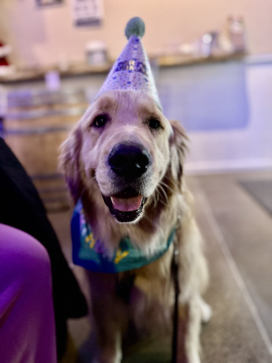 Logan & Shadow😇the Goldens tweet media