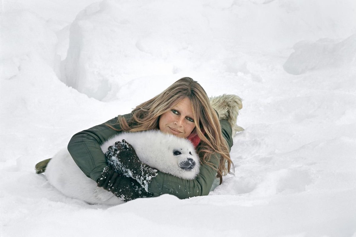 Une icône française.

Reposez en paix, Madame. 🕊

Hommage à elle, à son courage, à sa carrière, et à son engagement pour la cause animale.