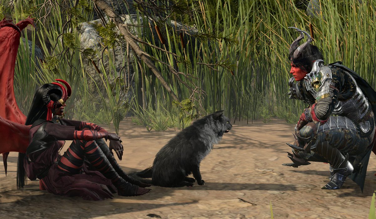 𝐃𝐑𝐎𝐖 tweet media