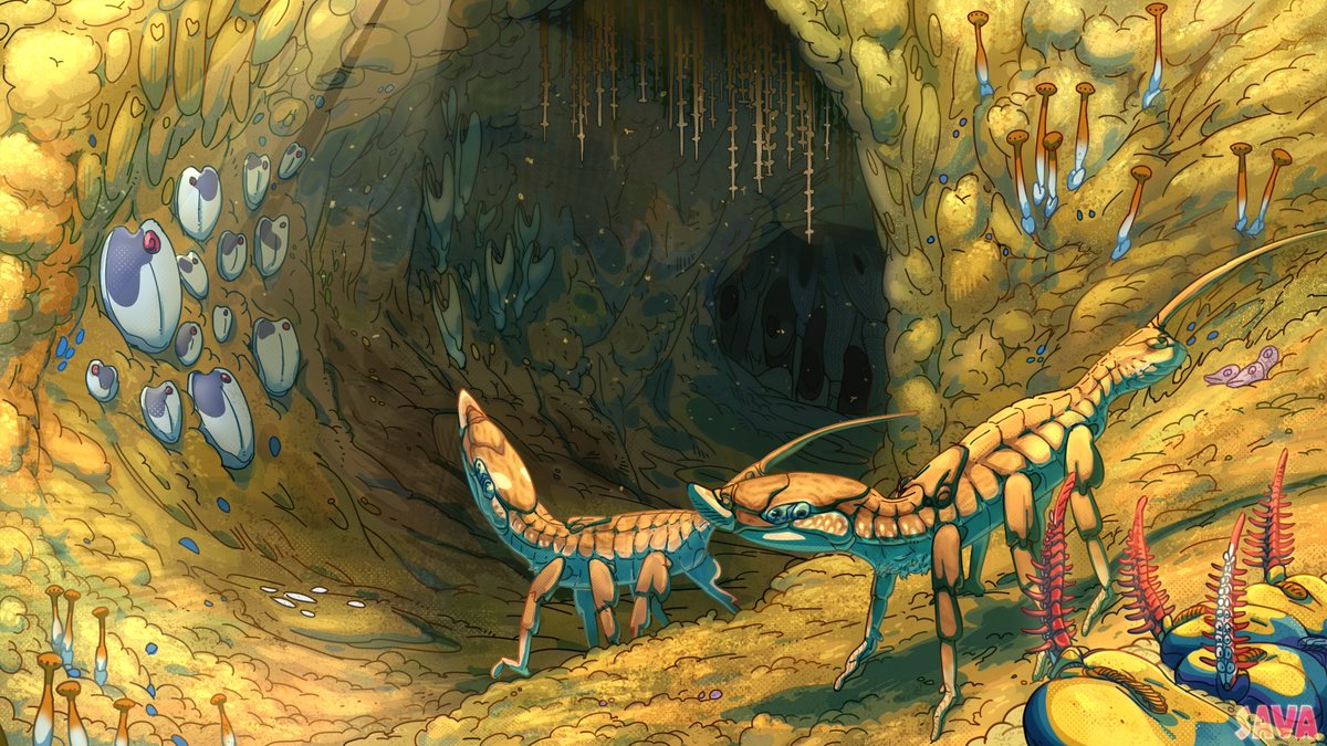 DeadAlienFish's tweet photo. Organic cave https://t.co/w4n6vtV53p