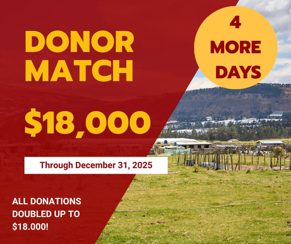 SantiagoPartner's tweet photo. Every gift you give will be matched dollar-for-dollar thanks to a generous donor. But this match is only available until December 31 at midnight.
https://t.co/rw8E5AA8Vf
#SantiagoPartnership #EcuadorMission #DreamingBig #DonorMatch #DoubleYourImpact #MakeADifference https://t.co/fEJ7hW7KlB