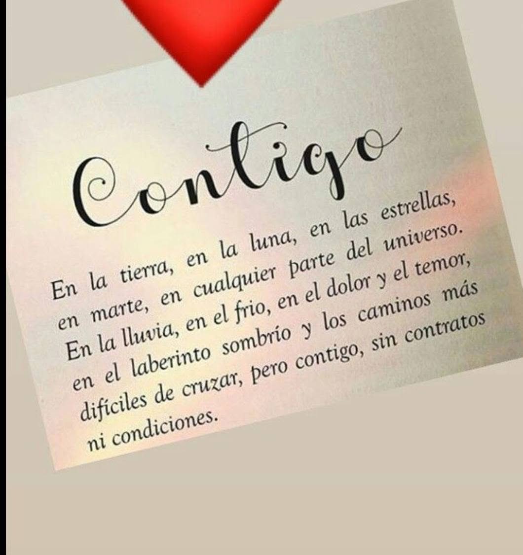 fariya491's tweet image. 