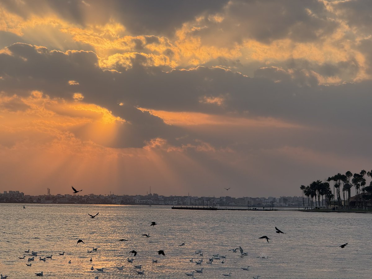 Nerded so hard that we drove half-a-day to see the epicentre of world trade irl: Suez Canal