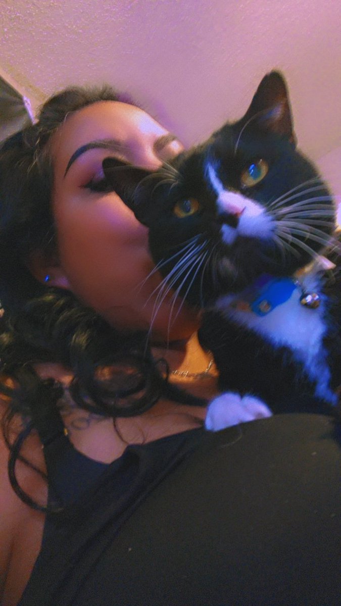 btsmetalmama's tweet image. My dearest Yoongi Boongi... my Shippo says hi to your Tangie 😻

@BTS_twt