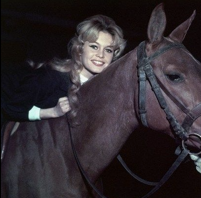 RIP Birgitte Bardot👑

A legend has left us, but her passion for $HORSE's lives on.. New jockey <a href="/DegenDerbyLive/">Degen Derby</a>?!