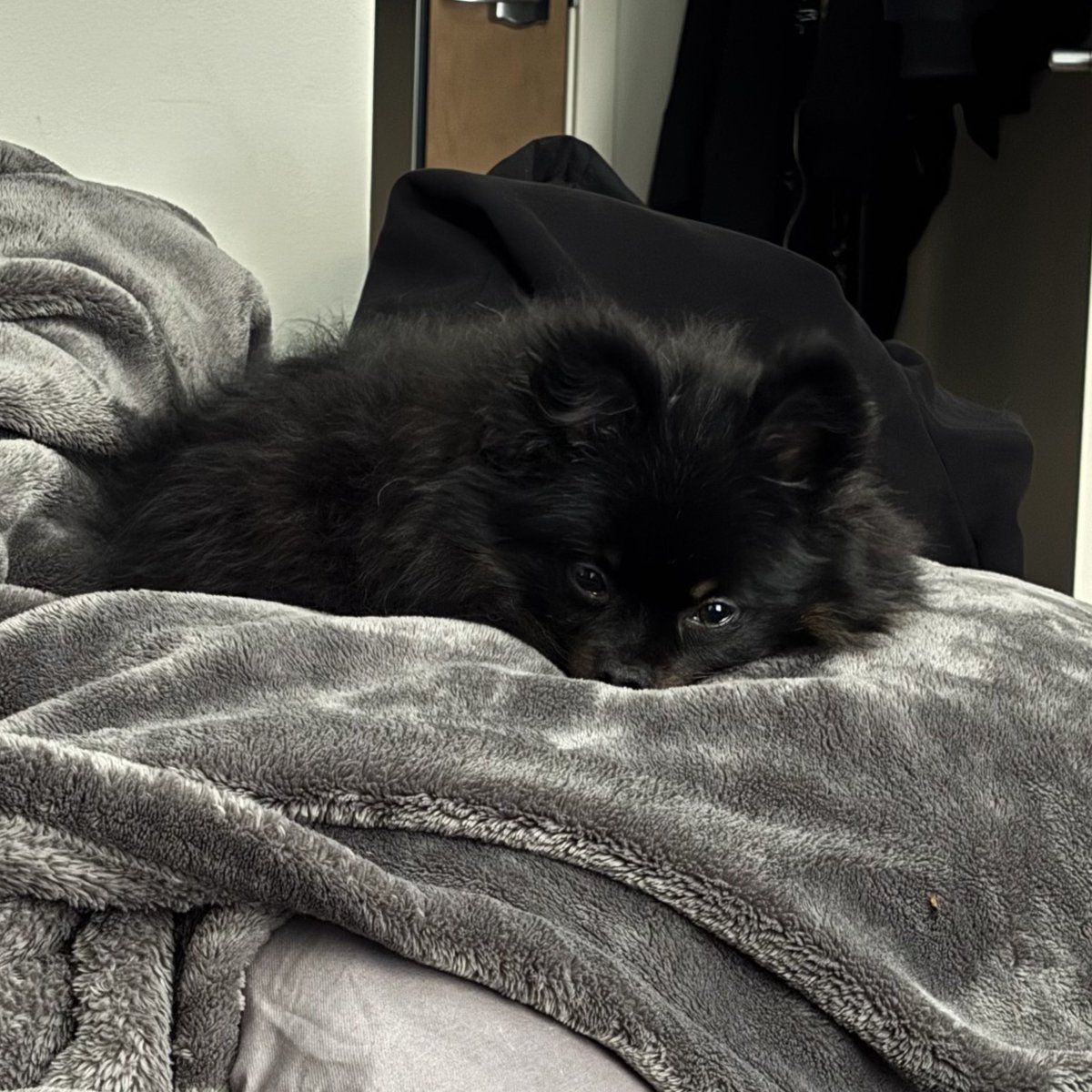 he doesn't know anything at all