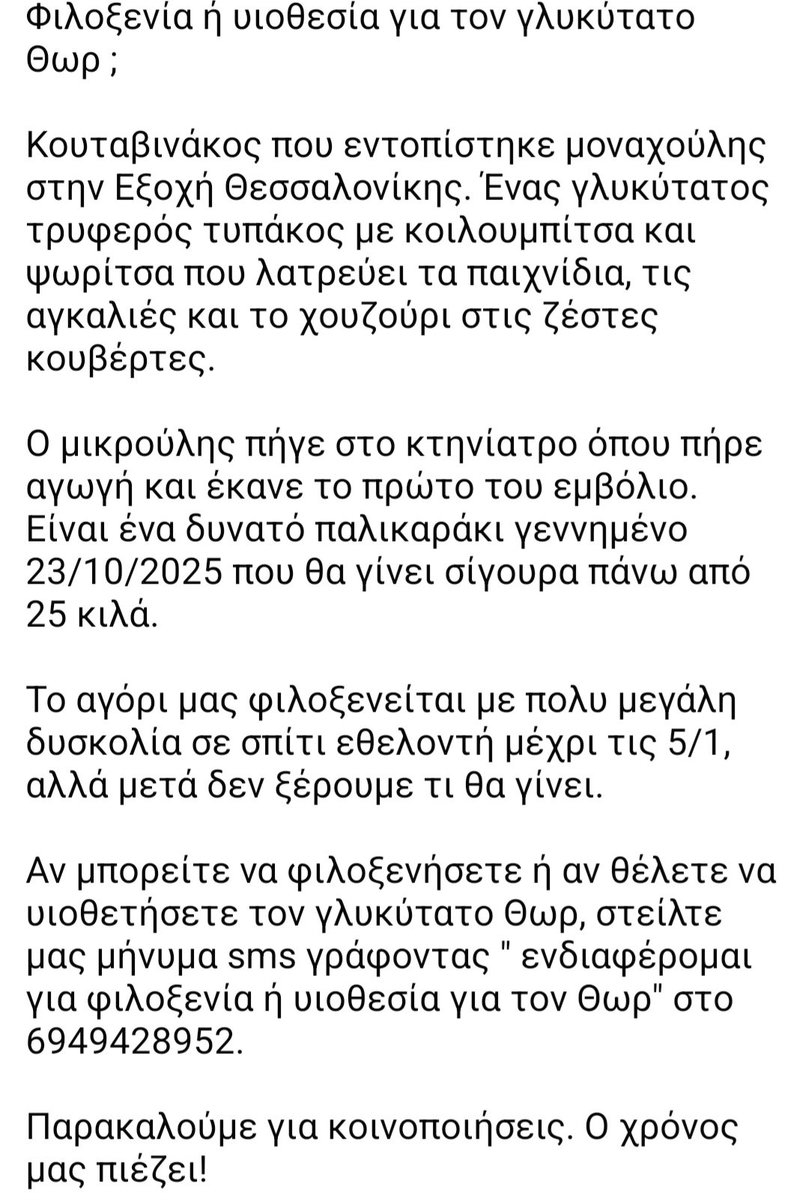 🆘️🆘️🆘️
Ο Θωρ εντοπίστηκε μοναχός του στην Εξοχή Θεσσαλονίκης
Πήγε στον κτηνίατρο έκανε το πρώτο του εμβόλιο
2 μηνών θα γίνει πάνω απο 25 κιλά
Φιλοξενείται με δυσκολία,οπότε αναζητειται άμεσα φιλοξενία ή υιοθεσία
Για παραπάνω πληροφορίες επικοινωνία με το τηλ
Rt 🙏 🙏 🙏