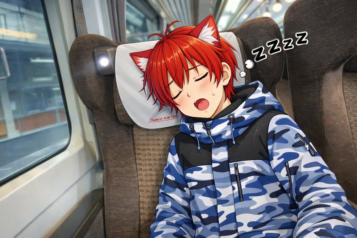 おやすみなさいませ。(-_-)zzz