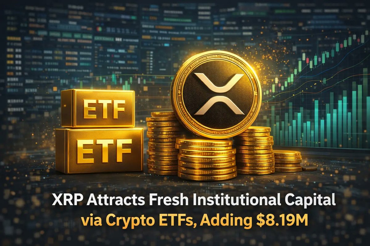 Earningmoneyon6's tweet photo. XRP ETFs just added $8.19M — a fresh sign of institutional demand.
https://t.co/1XhHbSsth0 https://t.co/M3AMgB6rjw