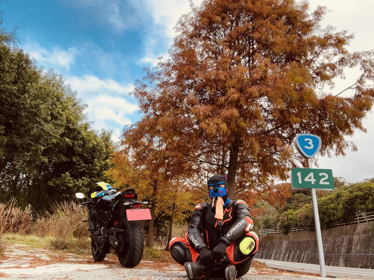 appliedforfun's tweet image. 台三上的這顆落羽松
在眾樹之間
當仁不讓 率先轉為褐色
讓四周美景 成為配角
毫不猶豫

本汪對於此種霸氣十足的意象
自是無法抗拒 不由自主停泊於蔭

惟沿途旅者眼見此景 亦陸續佇足於側
但那又如何
本汪依舊脫下頭盔
恢復狗頭 繫上項圈 扣上狗鍊 塞上臭襪
想像被雄氣壓制的感受

反正誰也不認識這條狗