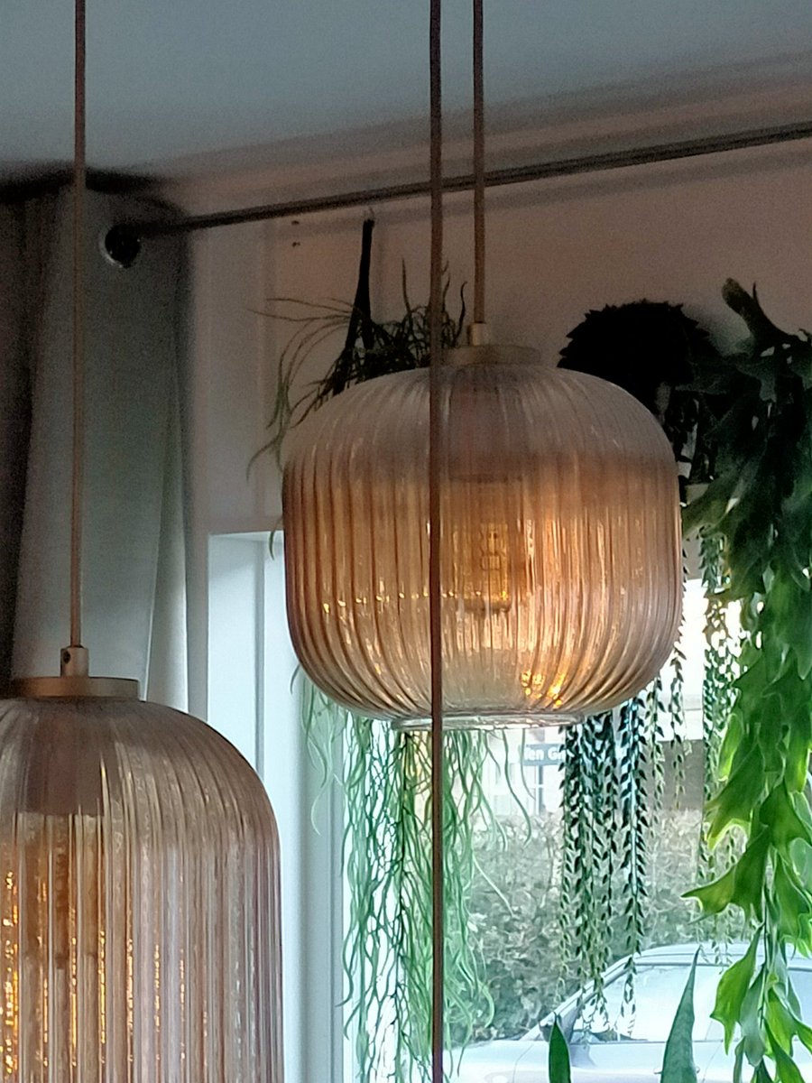 kluizenares's tweet photo. De hele dag binnen geweest helaas ivm klussen en op #Cleospam passen. Mijn lamp vangt de laatste zonnestralen..... https://t.co/YMfSkzHpeD