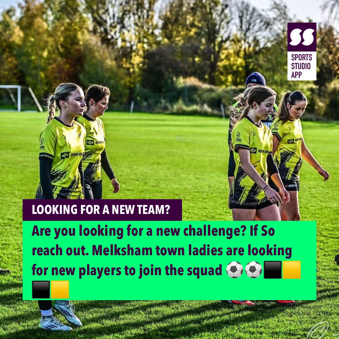 Melksham Town Ladies FC tweet media