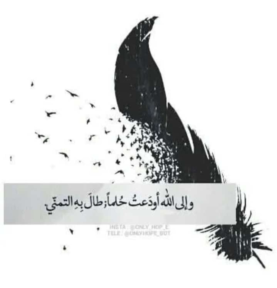 عبود ابو احمد (@aa01a01) on Twitter photo 