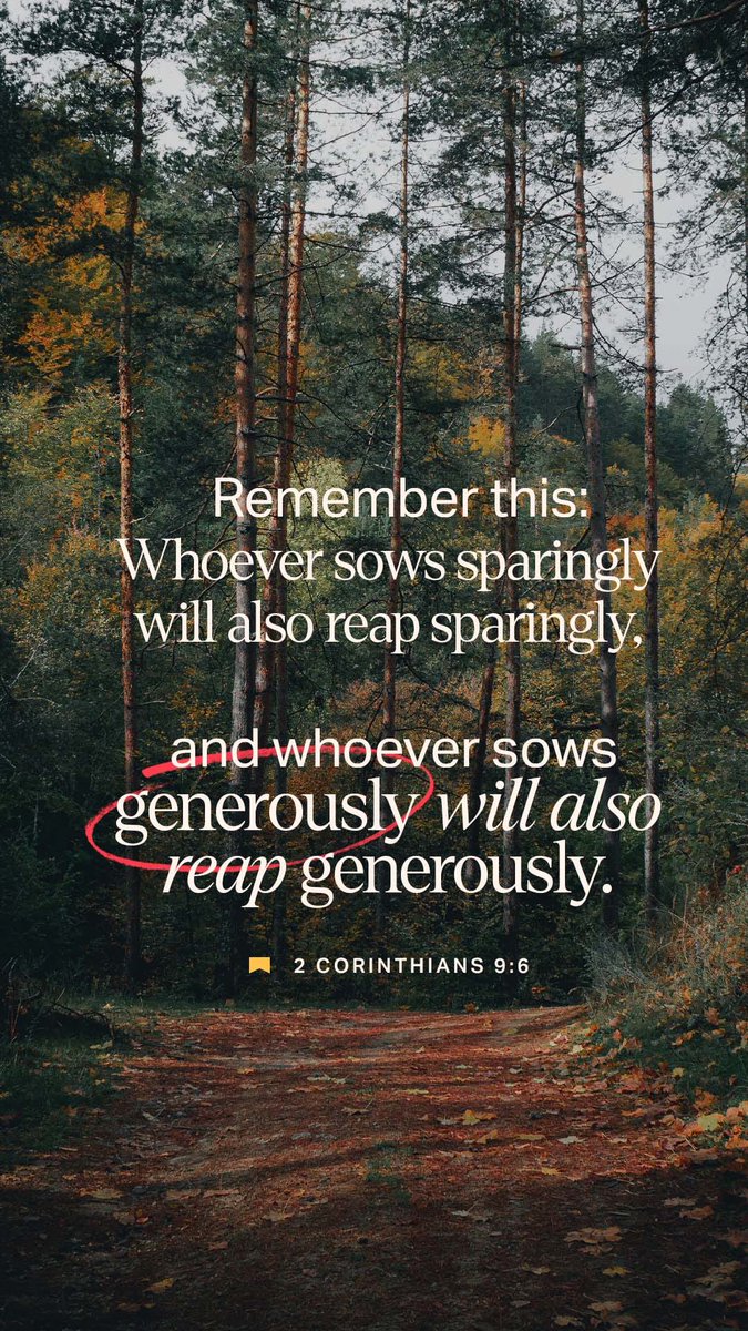 🇺🇸TracyLGorman🇺🇸 tweet media