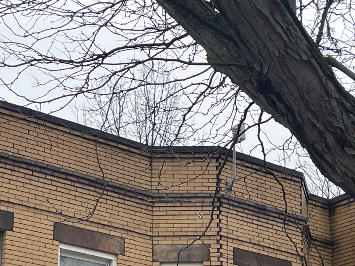 Chris McGraw tweet media