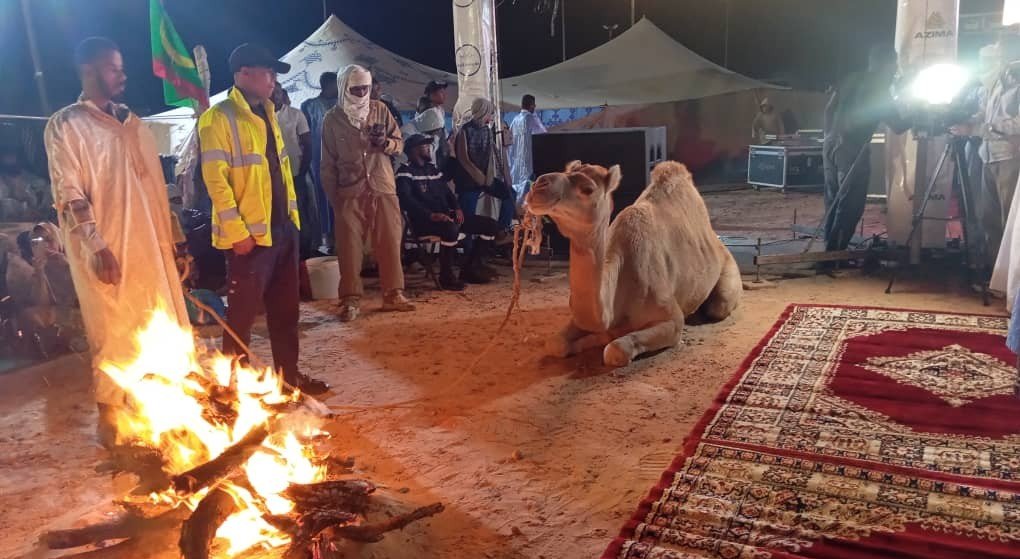 انطلقت بمدينة الشامي فعاليات النسخة الثالثة من مهرجان الشامي للتراث تحت شعار «التنمية الثقافية والسياحية»، بحضور الأمين العام لوزارة الثقافة، والسلطات الإدارية والأمنية والبلدية، ووزير الطاقة، وعدد من نواب البرلمان، إلى جانب جمهور واسع من ساكنة مقاطعة الشامي.
