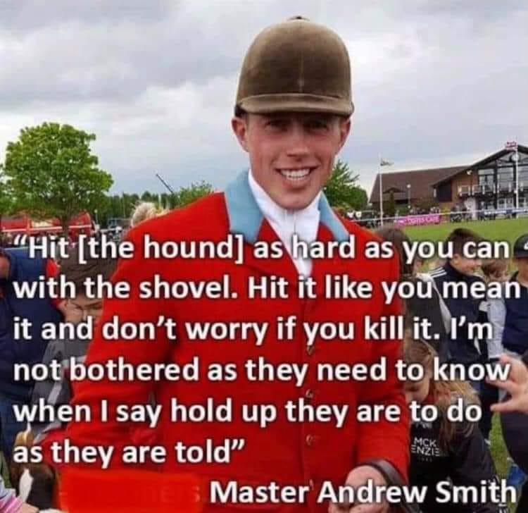 dave lawrence 🐟🐟🐠 tweet media