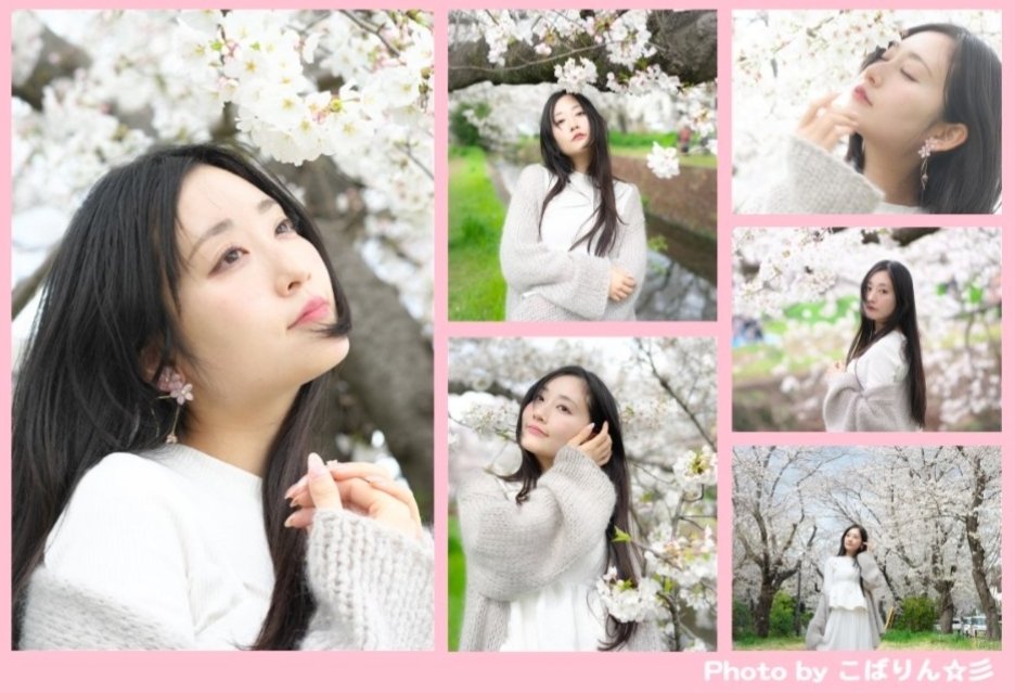 photoreso's tweet photo. 美しい！🍒綺麗！✨️
可愛い！🍓
クールビューティー⚡️
桜ポトレ印象深いなぁ👀
　　🌸✨️🌸✨️🌸
お元気そうで何より！
私も変革年でした😊
ありがとう
良いお年を！📸
@katomiyu612
#加藤みゆ #かとみゆ 
#ポートレート #桜 
#加藤みゆしか勝たん https://t.co/9P9RKwyyAG
