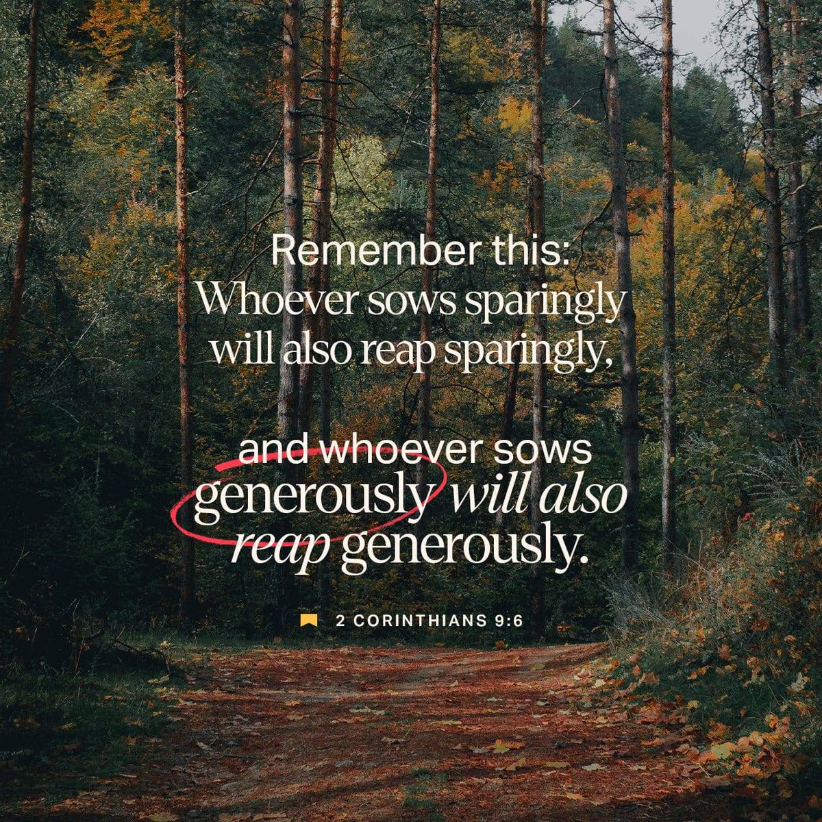 petoman's tweet image. bible.com/verse-of-the-d…