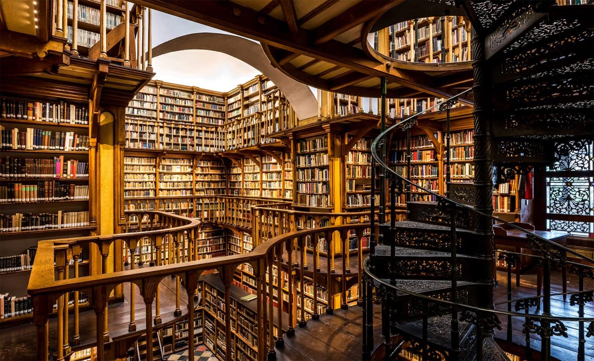 Roman okuyup kitap okuduğunu zanneden, ortamlarda ahkam kesip akıl veren bir tarife var. Kusura bakmayın ama birinin yazdığı bir kurgudan ibaret. Size bir katkısı olur mu? Olur. Ama yüzde olarak çok düşüktür. Kaldı ki çok büyük bir kısmı sadece insanların dikkatini cezbetmek için