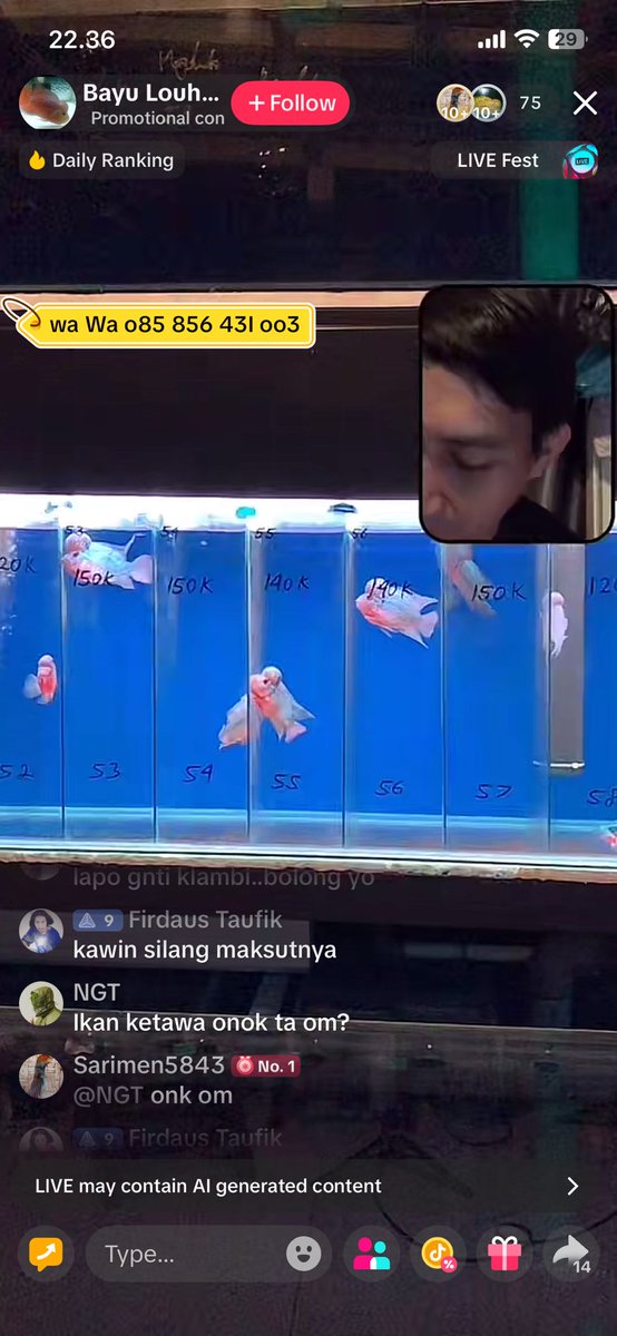 Njarak wong live iwak2an wenak eh <a href="/0940pm/">SkateBlueEyes</a> wkwkwkwkwk