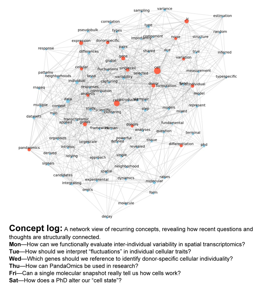fumikawano's tweet image. The terms gene, cell, and donor co-occur at the center, reflecting a sustained emphasis on donor-specific structure in single-cell transcriptomic data and how interindividual variability shapes cellular interpretation.
#ScientificThinking