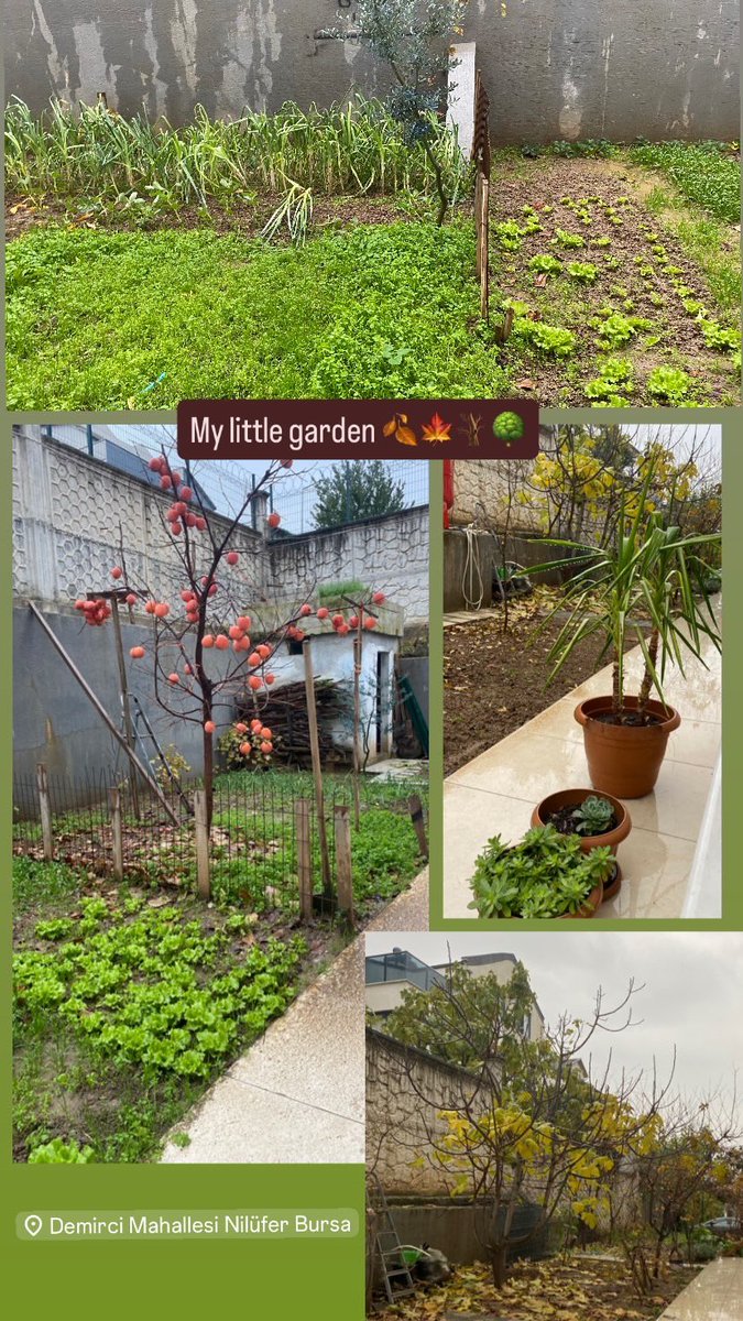 2025in son pazar ev moduu