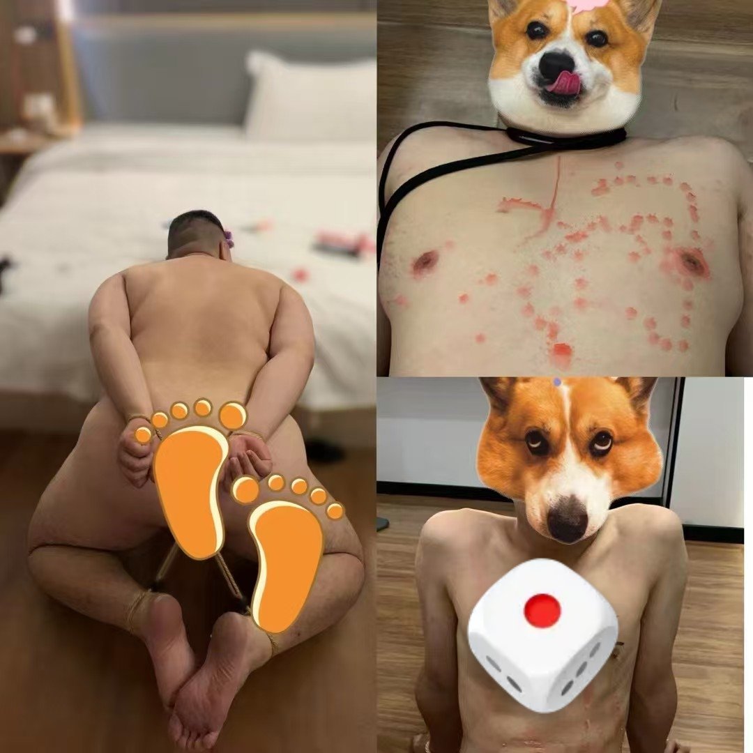 曦禾S(可情侣) tweet media