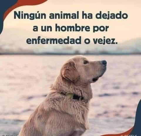 Ritanamaste's tweet image. 