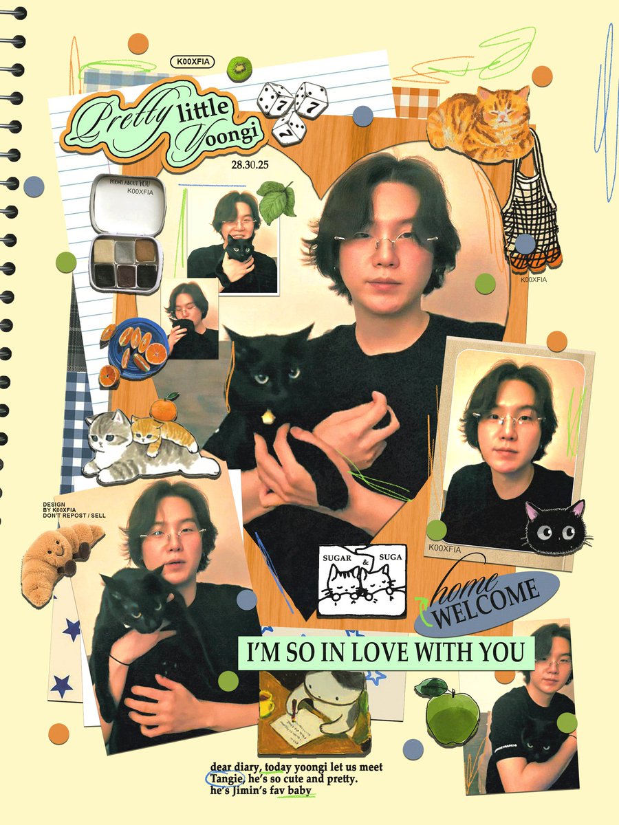‧ ₊˚ my dear yoongi 🍊🐈🖤
