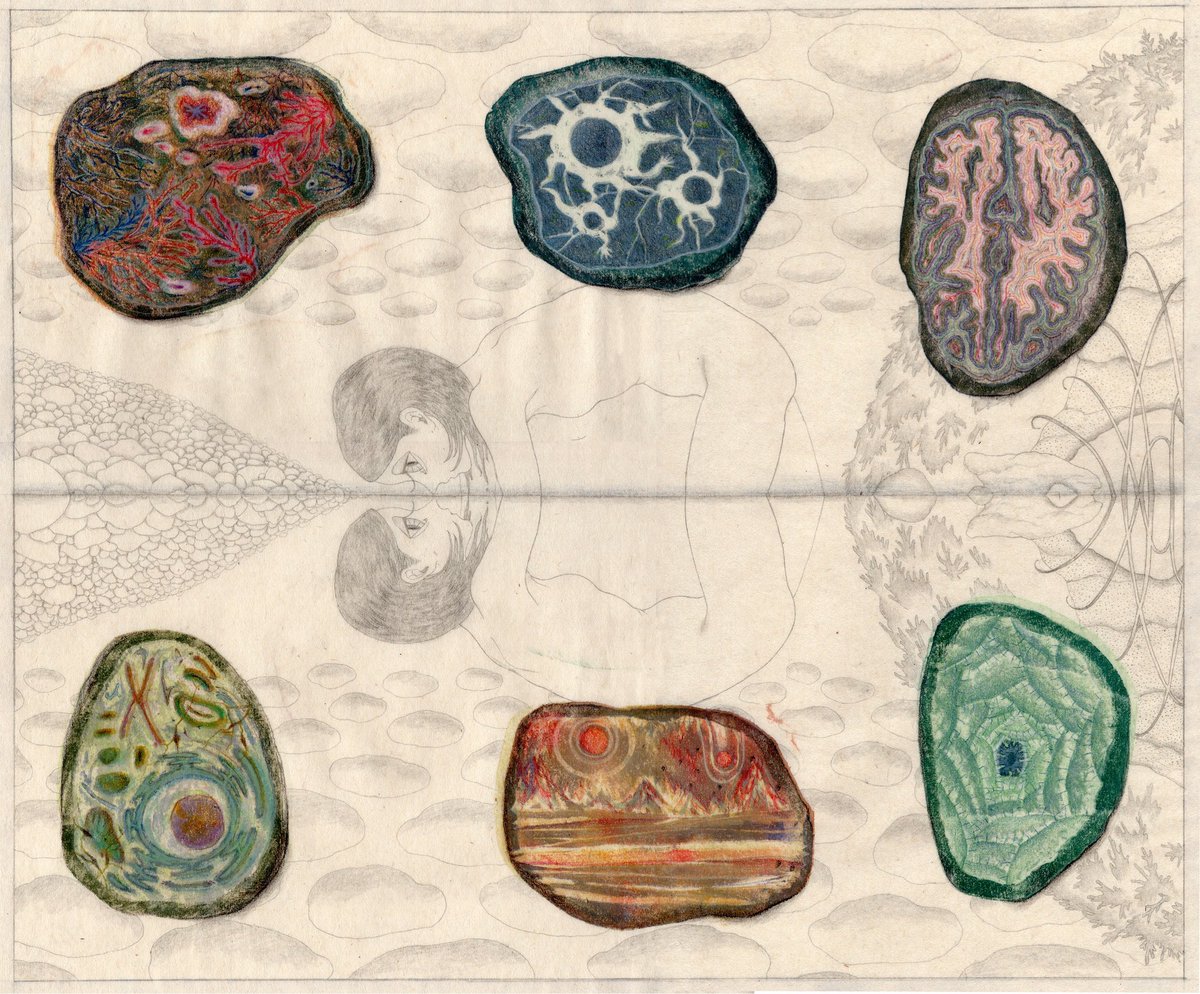 七五三（nagomi） (@utopia753) / Posts / X