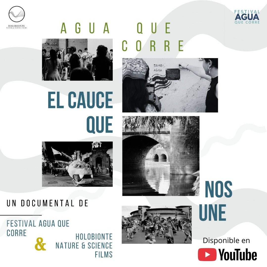 Ya está disponible en Youtube Agua que Corre: el cauce que nos une💧📽️✊ el documental sobre la lucha por el agua en #Querétaro #México facebook.com/share/p/17d5t1…