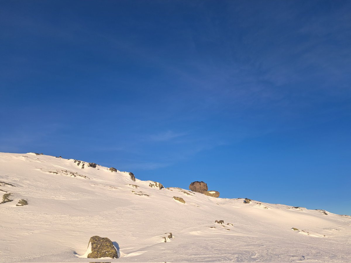 Heming H. Gujord tweet media