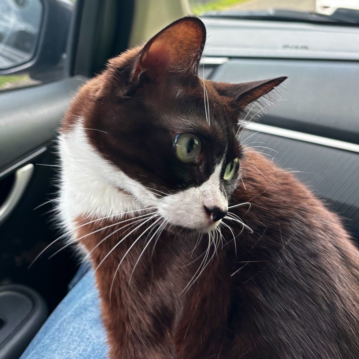 nobody (@anakadang) on Twitter photo 