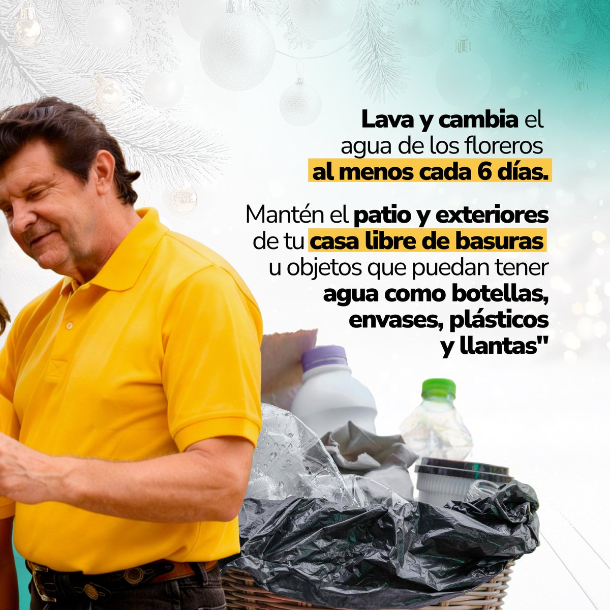 MinSaludCol's tweet photo. 🎄✨ ¡Que las fiestas no se arruinen por la fiebre amarilla!  Si vives o vas a recibir visitas en el Tolima o zonas de riesgo, asegúrate de que la enfermedad no arruine la temporada.  

Cuida y protege a los que más quieres eliminando los criaderos del mosquito.  

La fiebre amarilla mata, #VacunarseSalvaVidas  #VacúnateYa