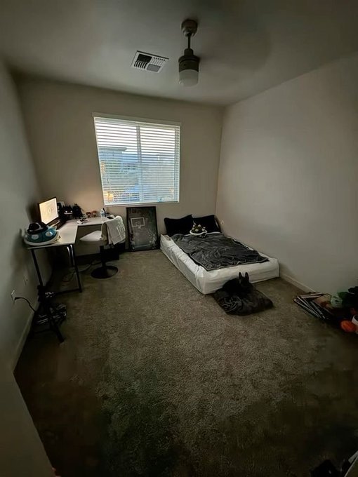 Emily 🦋 tweet media