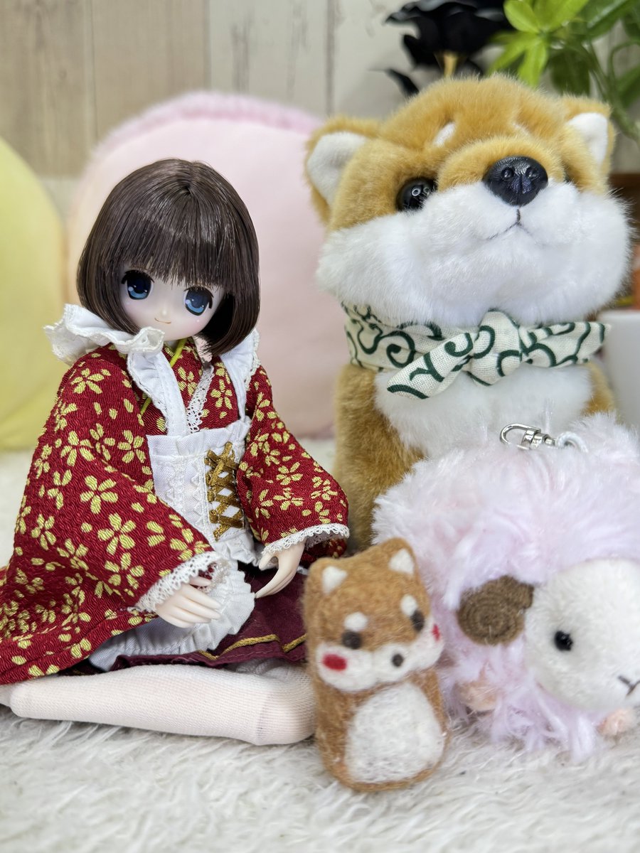 くまきち (@bearbeartyan) / Posts / X