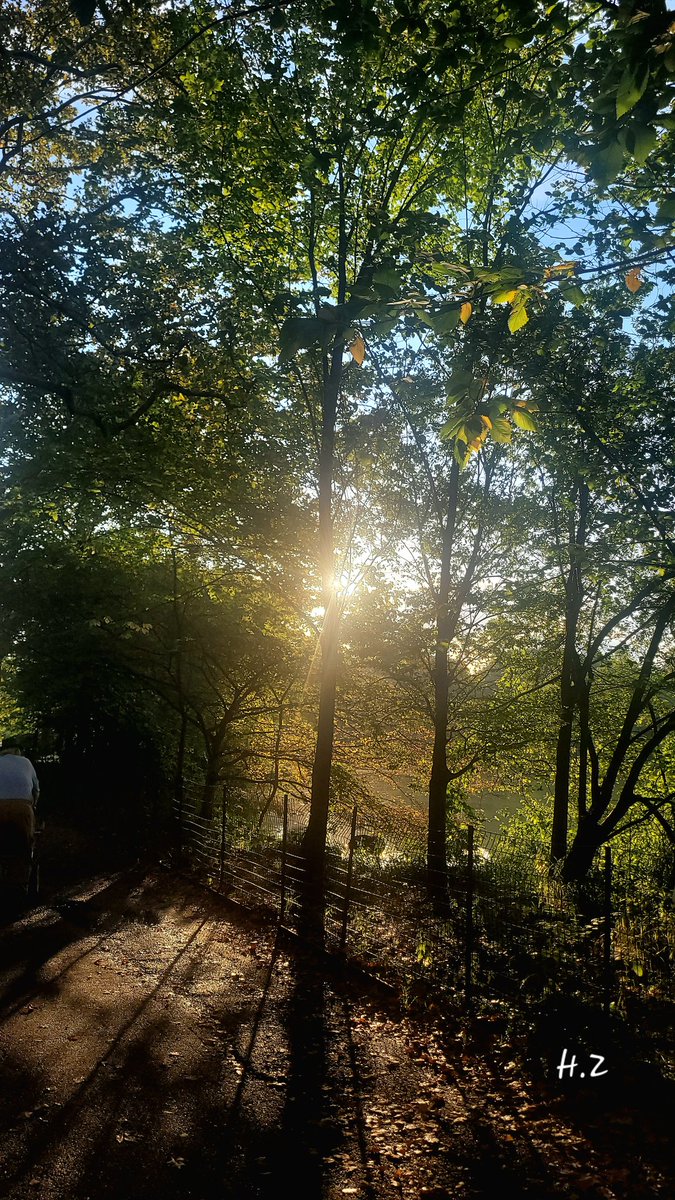 huda zahid tweet media