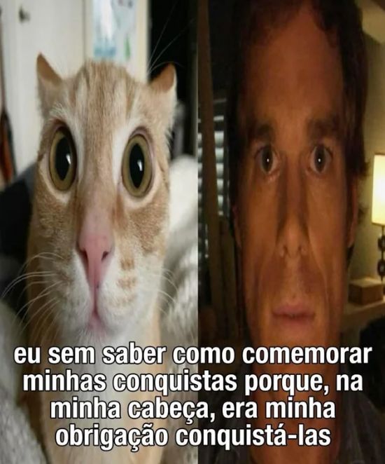 memes_horriveis's tweet image. 