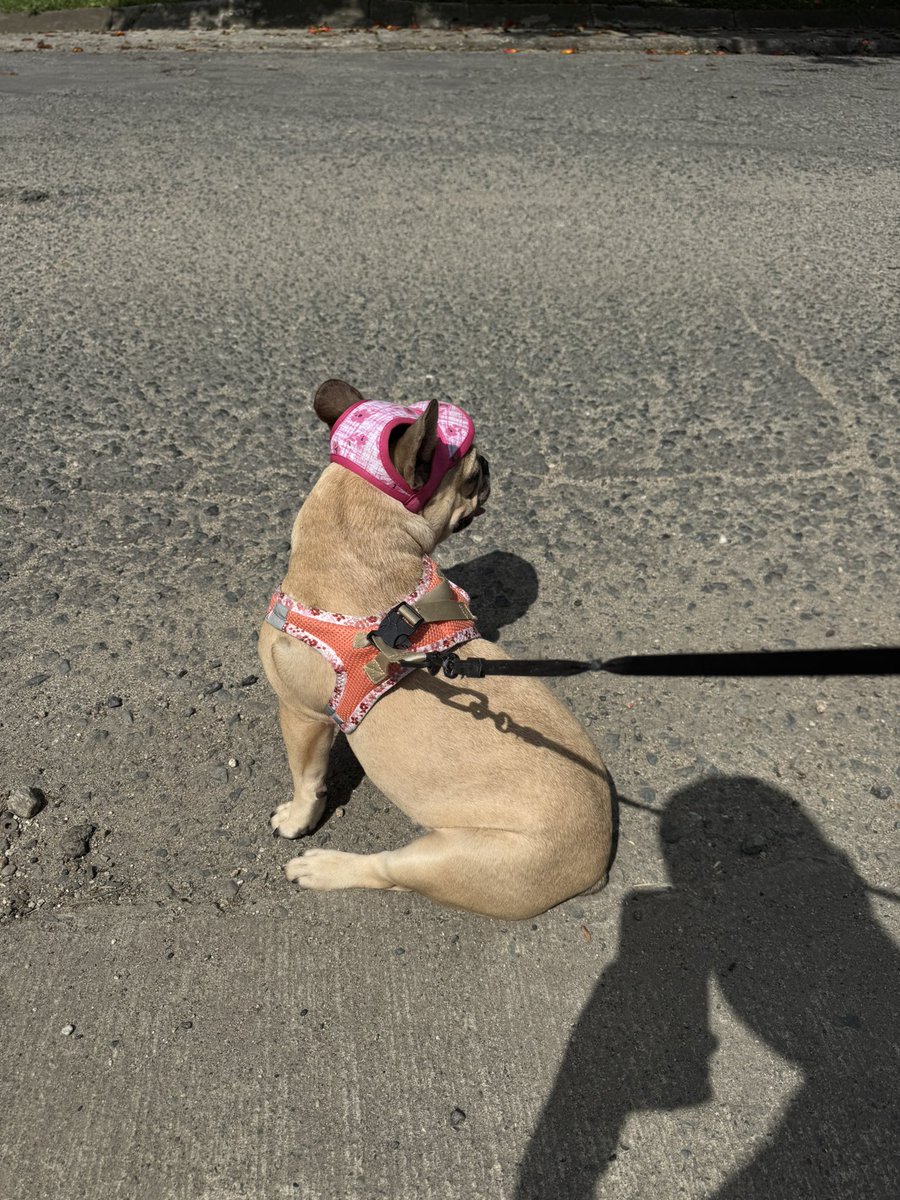 Mañana de parquesito ❤️