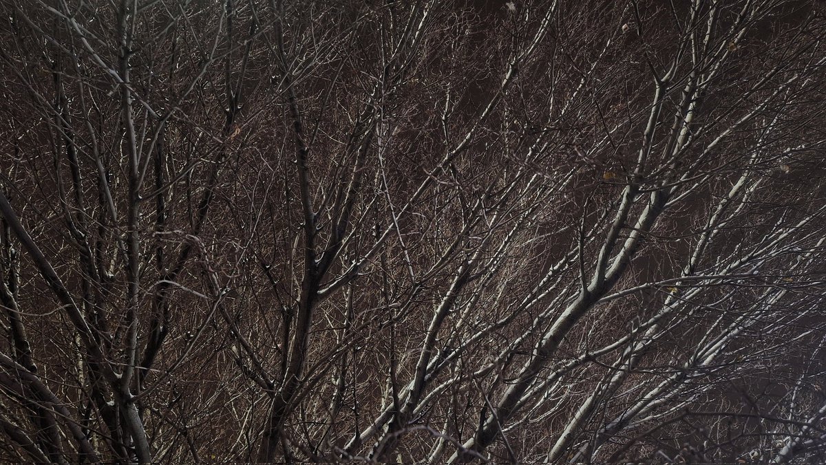 بلاخره برف اومد❄️🥲