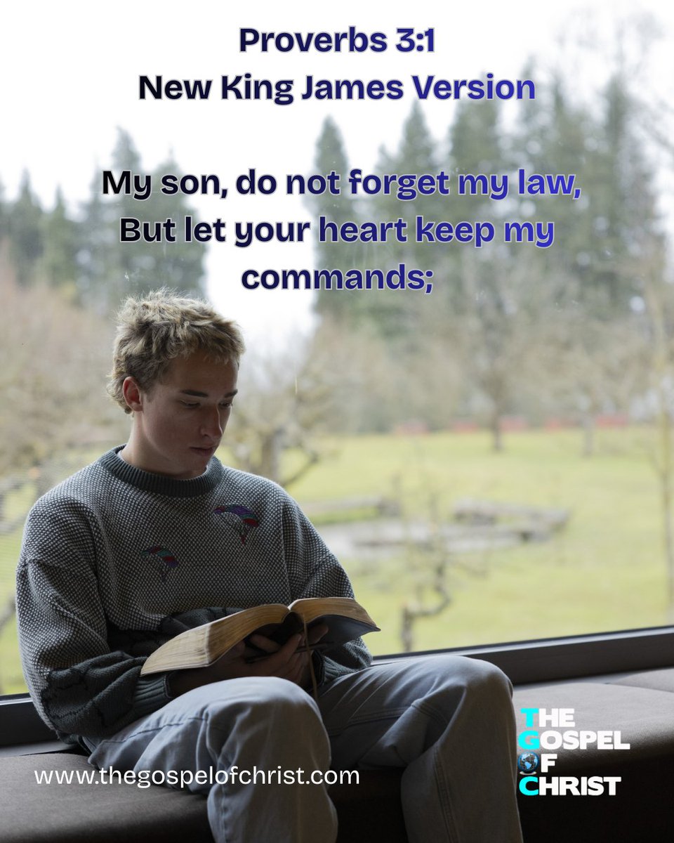 TGOCworldwide's tweet image. Christians trust in God, and His teachings should be integrated into our hearts. Trust in God and honor Him always. 📖❤️✝️ #trustingod #christianity #christians #teaching #heart #trust #honor #TheGospelofChrist #BenBailey #TGOC