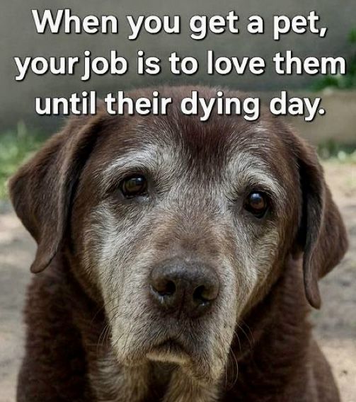 Beyond_theleash's tweet image. 