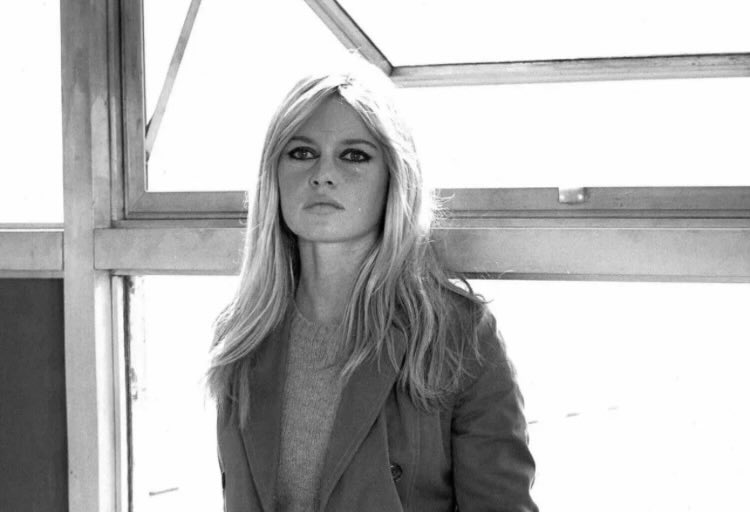 Brigitte Bardot

+ 28 diciembre 2025