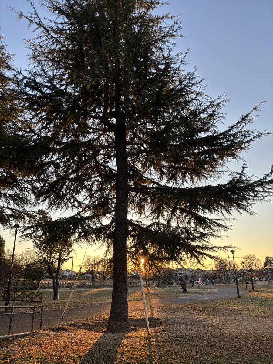 Today's sunset (@summer3532) / Posts / X