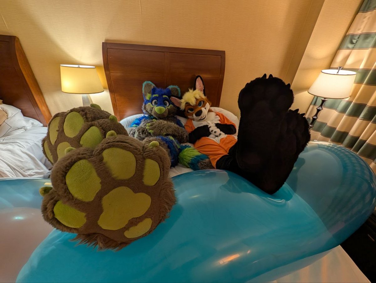 Folfernutters tweet media