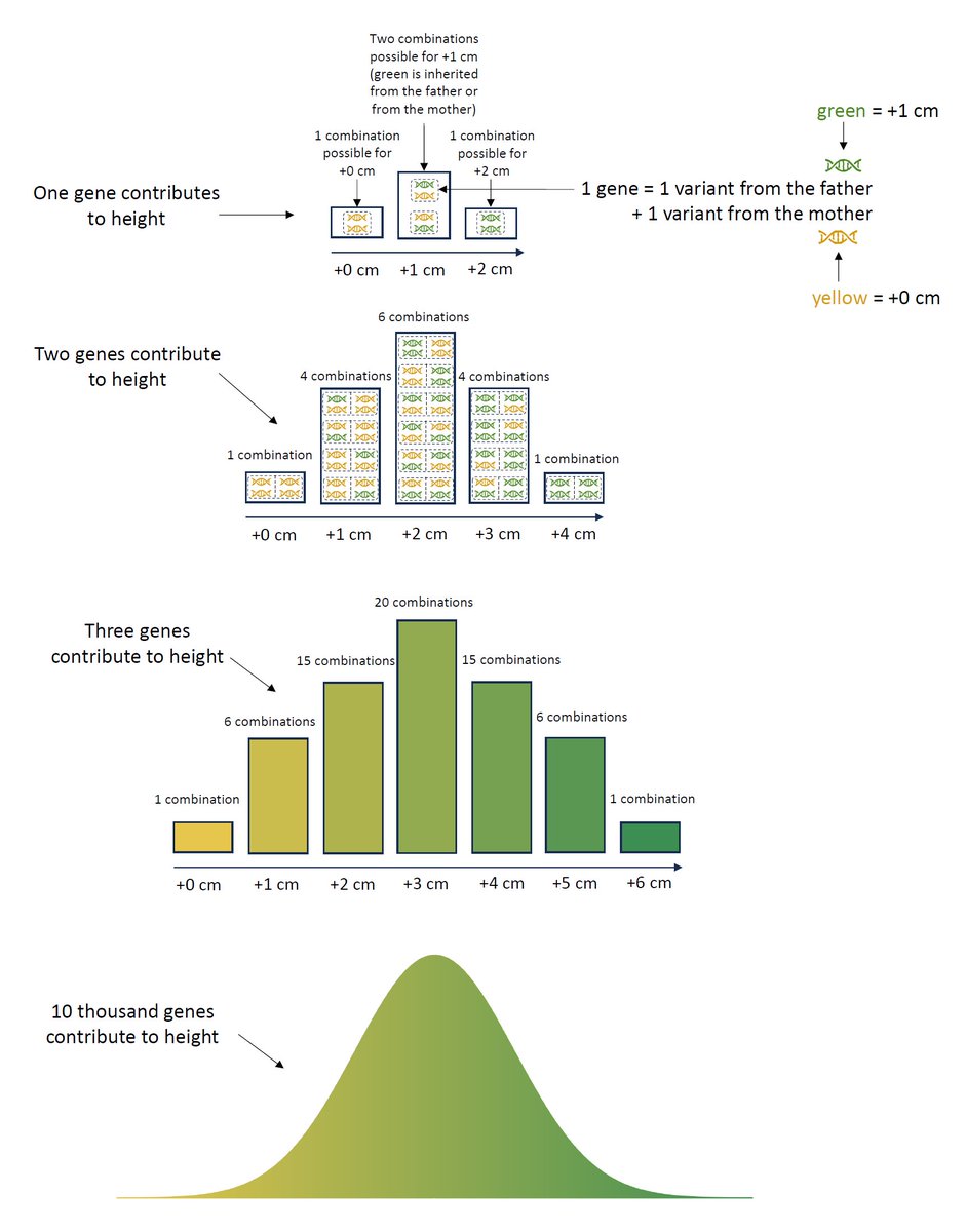 Abdel Abdellaoui tweet media