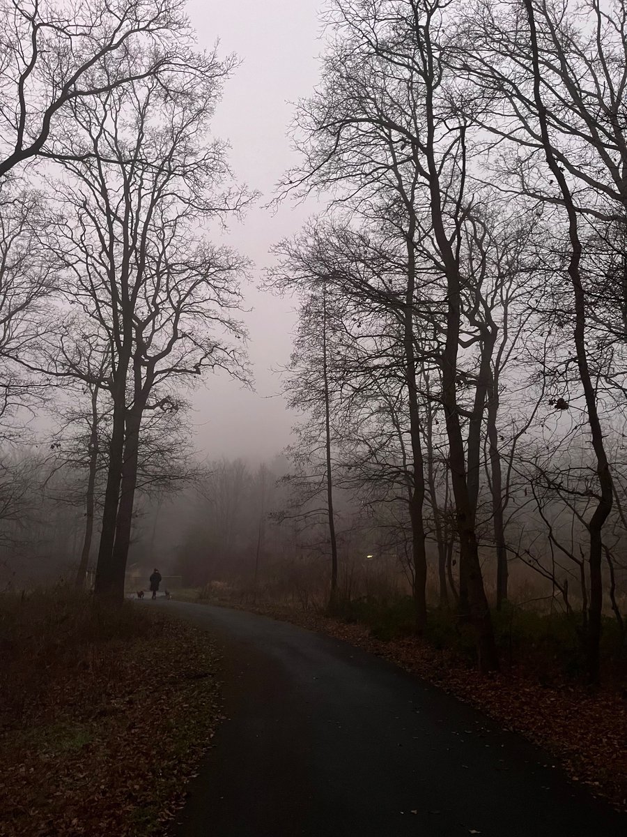 emin olmamakla beraber sanırım galiba ruh emicilerine hitap eden bir hava durumu var